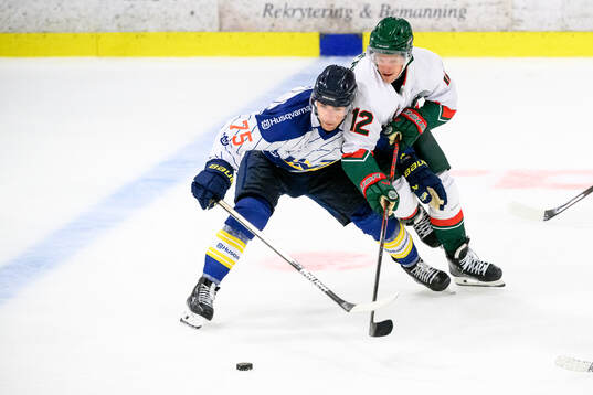 HV71s Radan Lenc och Frölundas Max Friberg