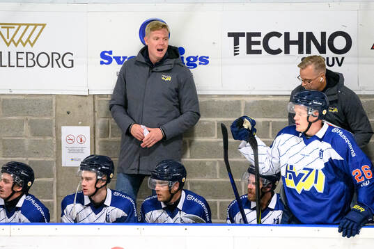 HV71s tränare Anton Blomqvist