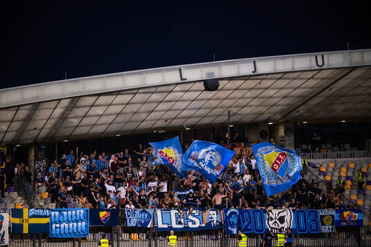 Supporters of Djurgården