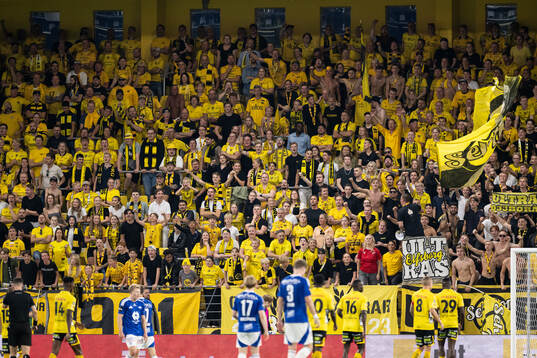 Spectators in the stands