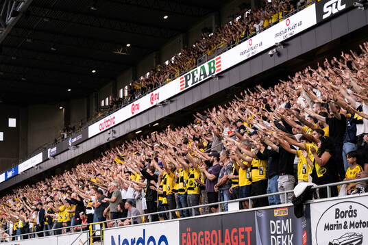 Spectators in the stands
