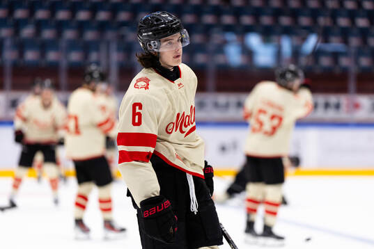 Malmö Redhawks Dominik Badinka