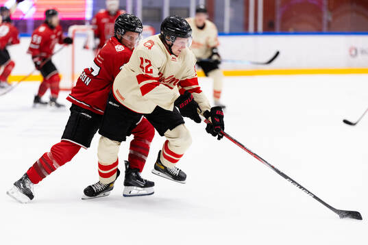 Örebros Glenn Gustafsson och Malmö Redhawks Robin Salo