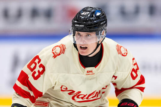 Malmö Redhawks Fredrik Händemark