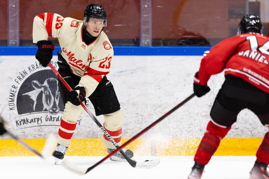 Malmö Redhawks Christoffer Forsberg