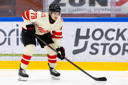 Malmö Redhawks Jakub Galvas