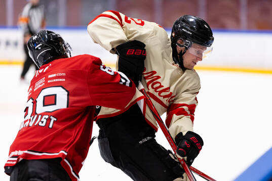 Örebros Patrik Karlkvist och Malmö Redhawks Robin Salo