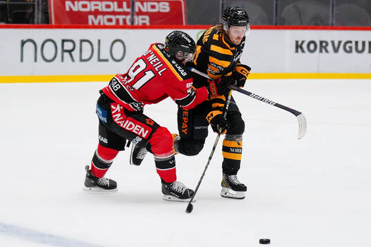 Luleås Brian O'Neill och Skellefteås Jonathan Pudas