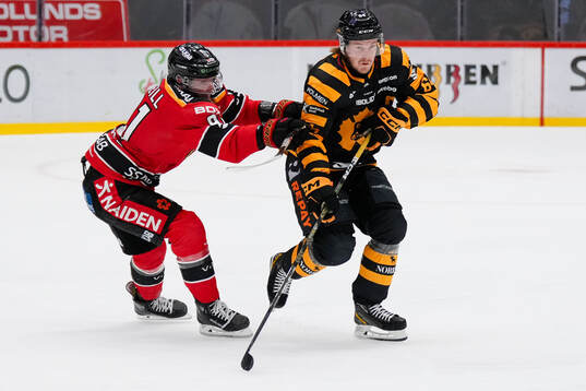 Luleås Brian O'Neill och Skellefteås Jonathan Pudas