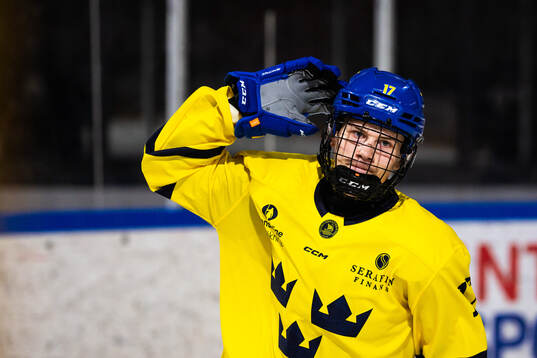 Elton Hermansson of Sweden celebrates