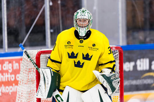 Goalkeeper Douglas Nilsson of Sweden