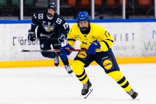 Elton Hermansson of Sweden