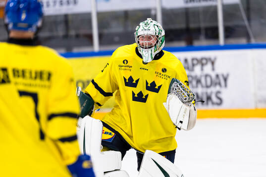Goalkeeper Douglas Nilsson of Sweden celebrates with