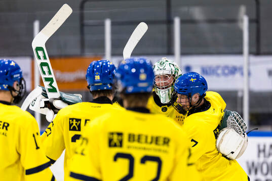 Goalkeeper Douglas Nilsson of Sweden celebrates with