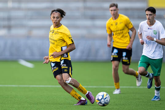 Elfsborgs Stig Karlsson