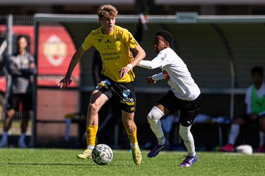 Elfsborgs Oliver Molander Adevåg och BK Häckens Adam