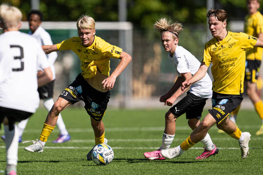 Elfsborgs Wilmer Carl Johansson
