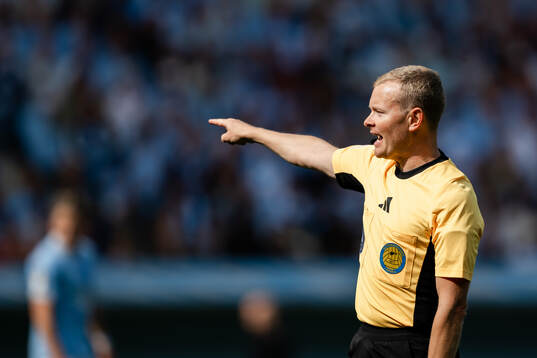 Domare Fredrik Klitte