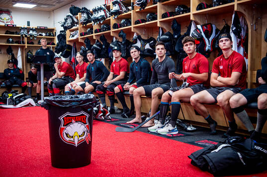 Malmö Redhawks spelare