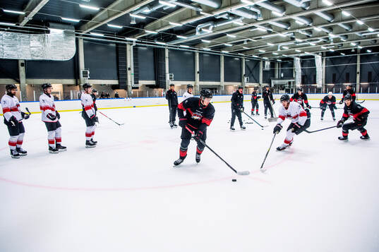 Malmö Redhawks tränare Tomas Kollar