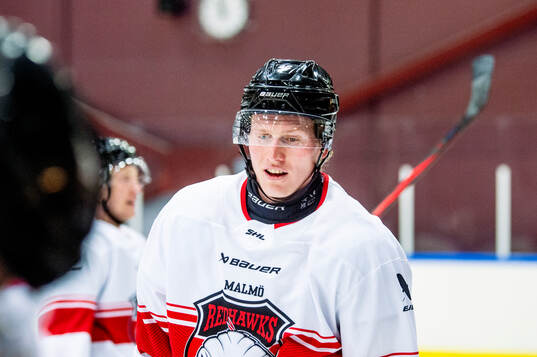 Malmö Redhawks Robin Salo