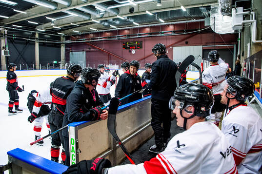 Malmö Redhawks tränare Tomas Kollar