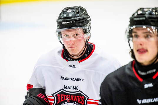 Malmö Redhawks Robin Salo