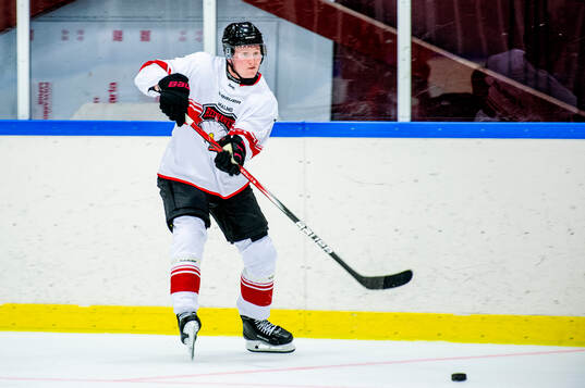 Malmö Redhawks Robin Salo