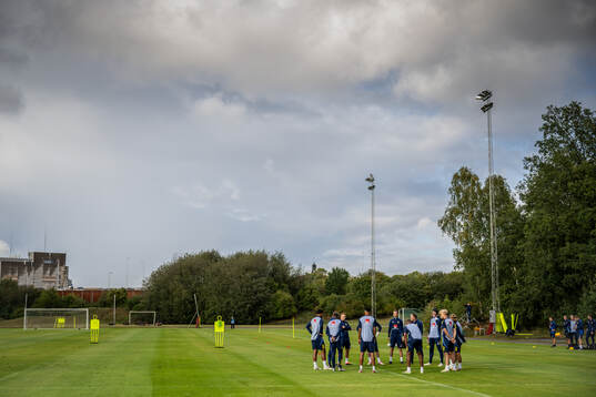 General view of the Swedish national football team at a