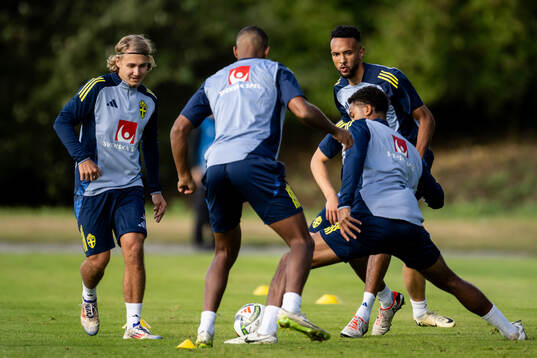 Sebastian Nanasi and Alex Douglas of the Swedish national