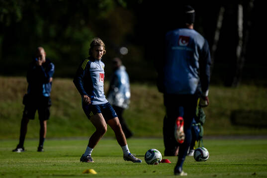 Sebastian Nanasi of the Swedish national football team at a