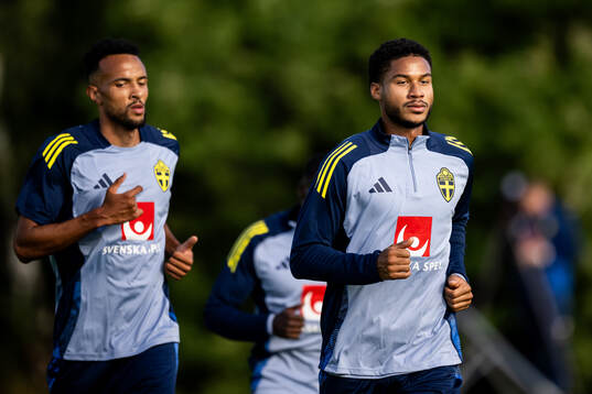 Alex Douglas and Jens-Lys Michel Cajuste of the Swedish