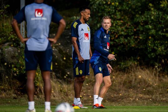 Alex Douglas and assistant coach Sebastian Larsson of the