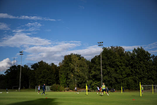 General view of the Swedish national football team at a