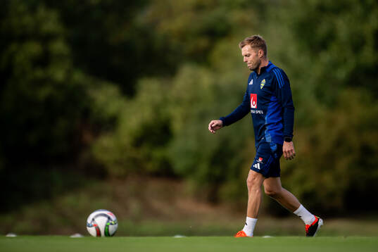Assistant coach Sebastian Larsson of the Swedish national