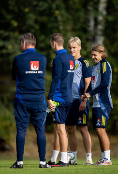 Lucas Bergvall and Sebastian Nanasi of the Swedish national