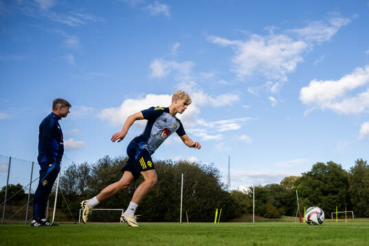 Head coach Jon Dahl Tomasson and Lucas Bergvall of the