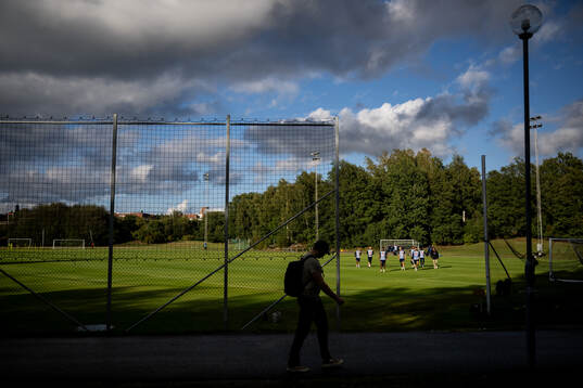 General view of the Swedish national football team