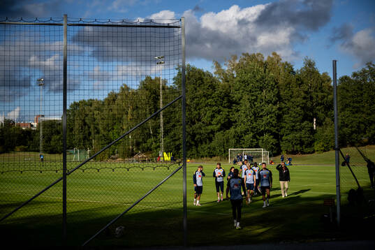General view of the Swedish national football team
