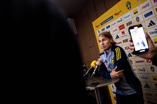 Sebastian Nanasi of the Swedish national football team in a