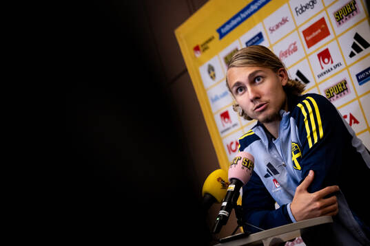 Sebastian Nanasi of the Swedish national football team in a