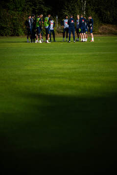 The players of the Swedish national football team