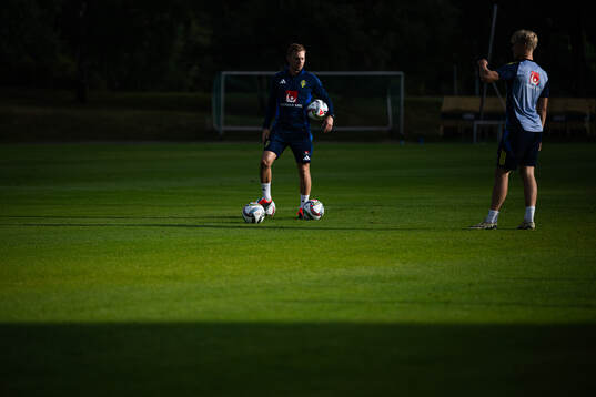 Assistant coach Sebastian Larsson and Lucas Bergwall of the