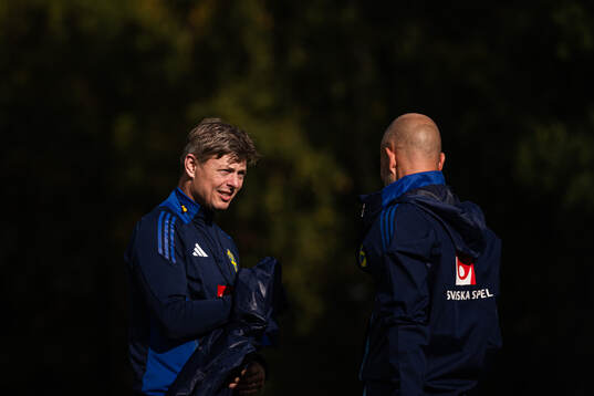 Head coach Jon Dahl Tomasson of the Swedish national
