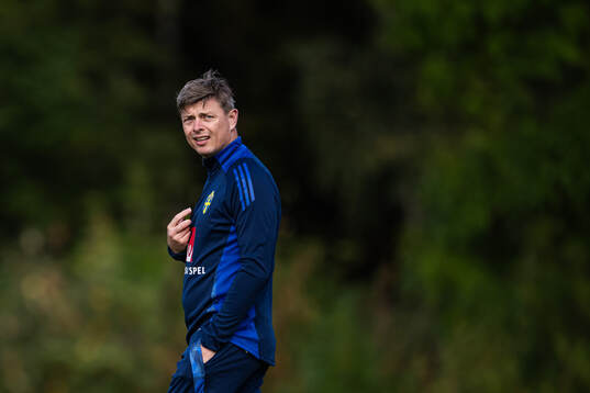 Head coach Jon Dahl Tomasson of the Swedish national