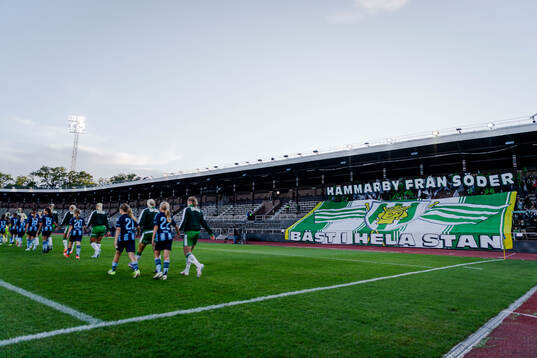 Hammarbys supportrar med ett tifo