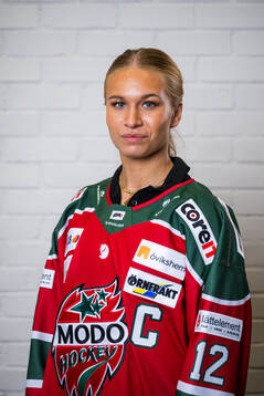 s upptaktsträff