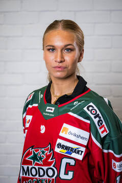 s upptaktsträff