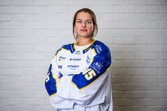 s upptaktsträff
