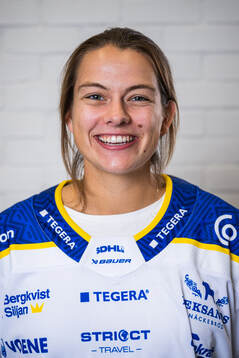 s upptaktsträff